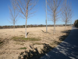 tn_IMG_7962