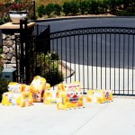 Deal Alert *Stock Up Time* Paper Towels