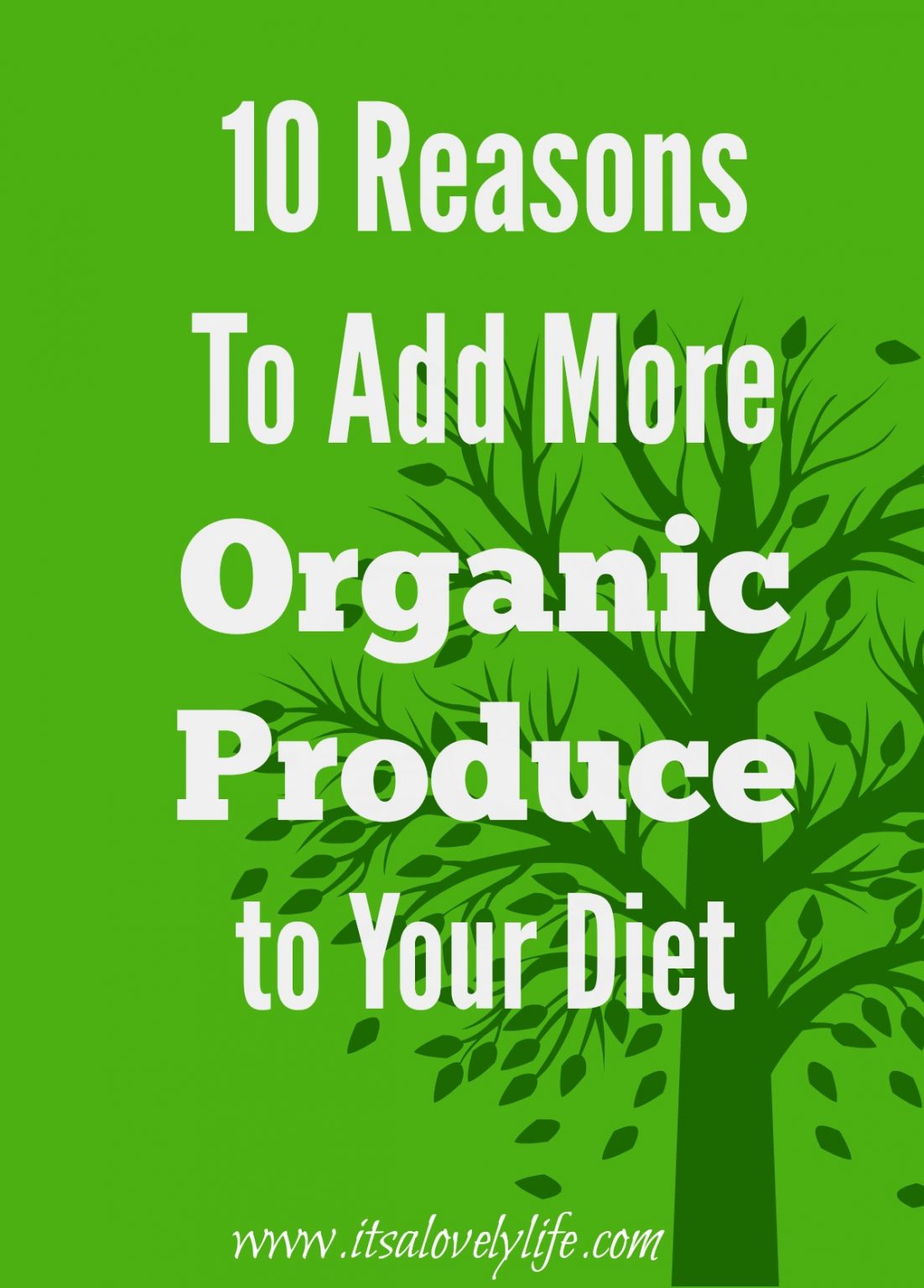 10 Things You Need To Know About Organic Produce | It's a Lovely Life!