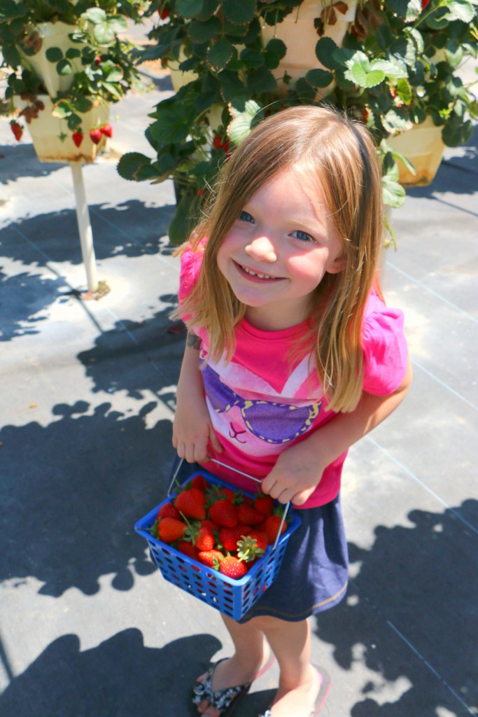 berry picking It's a Lovely Life!