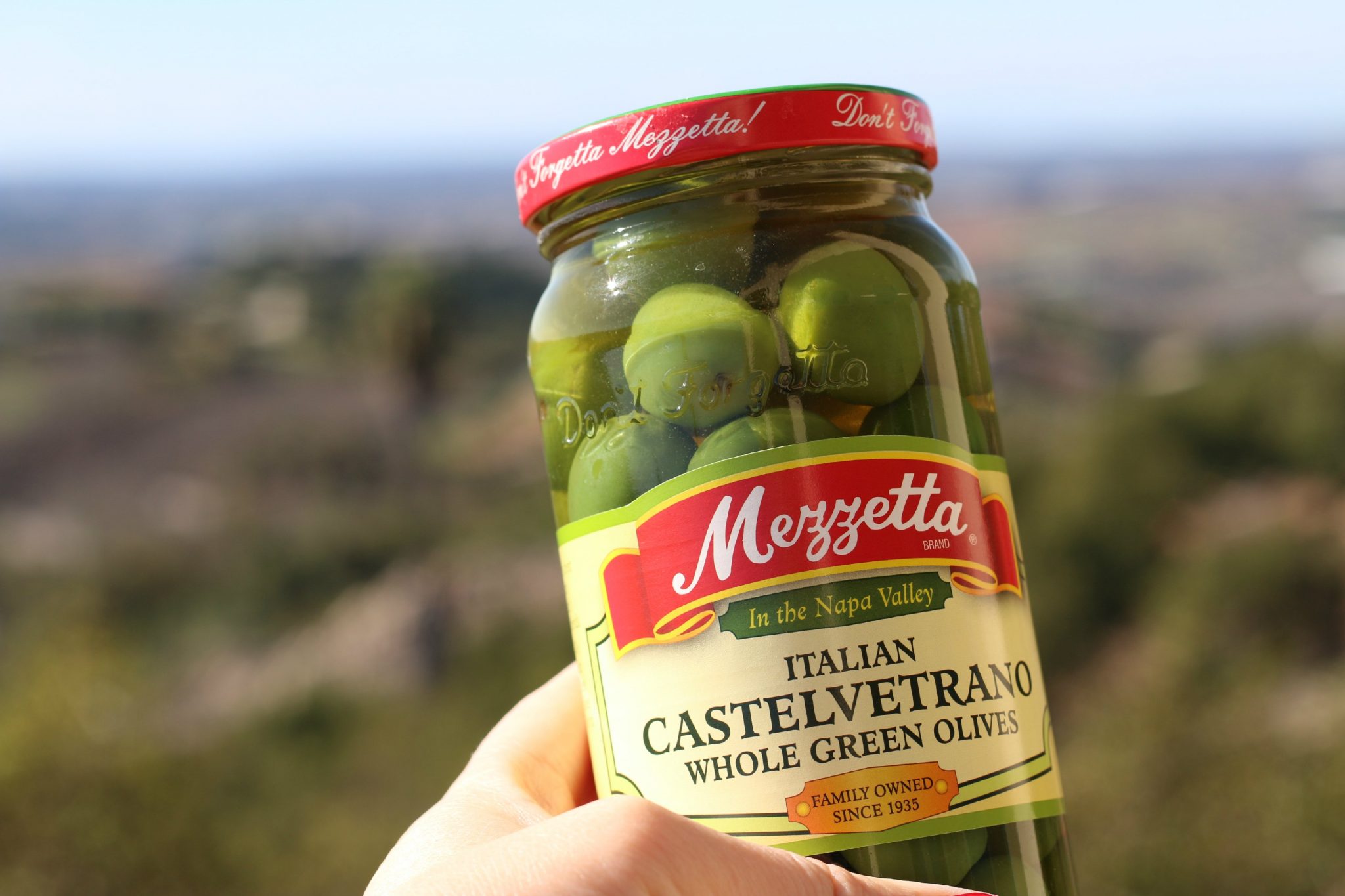 italian castelvetrano olives It's a Lovely Life!