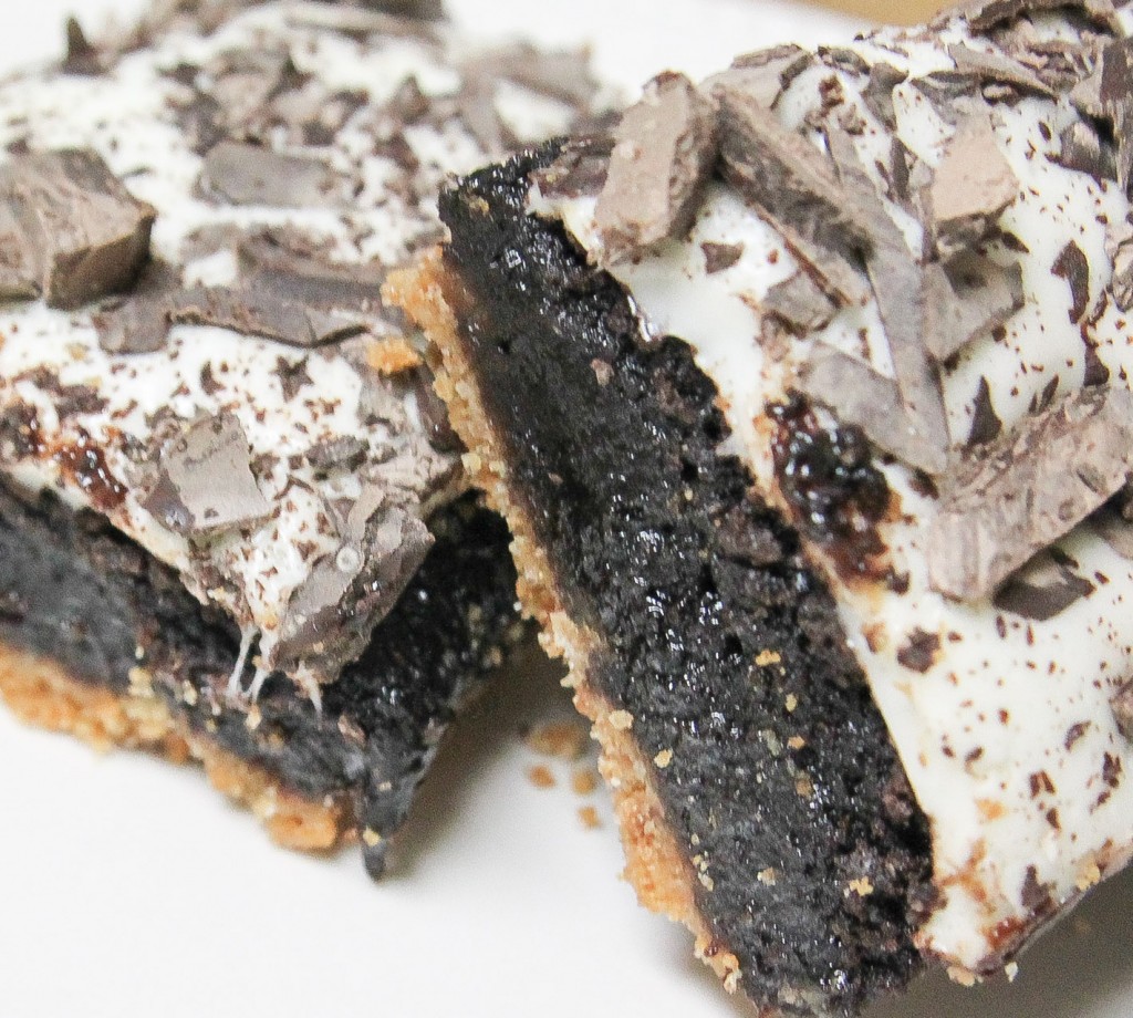 Gooey Smores Brownie-2