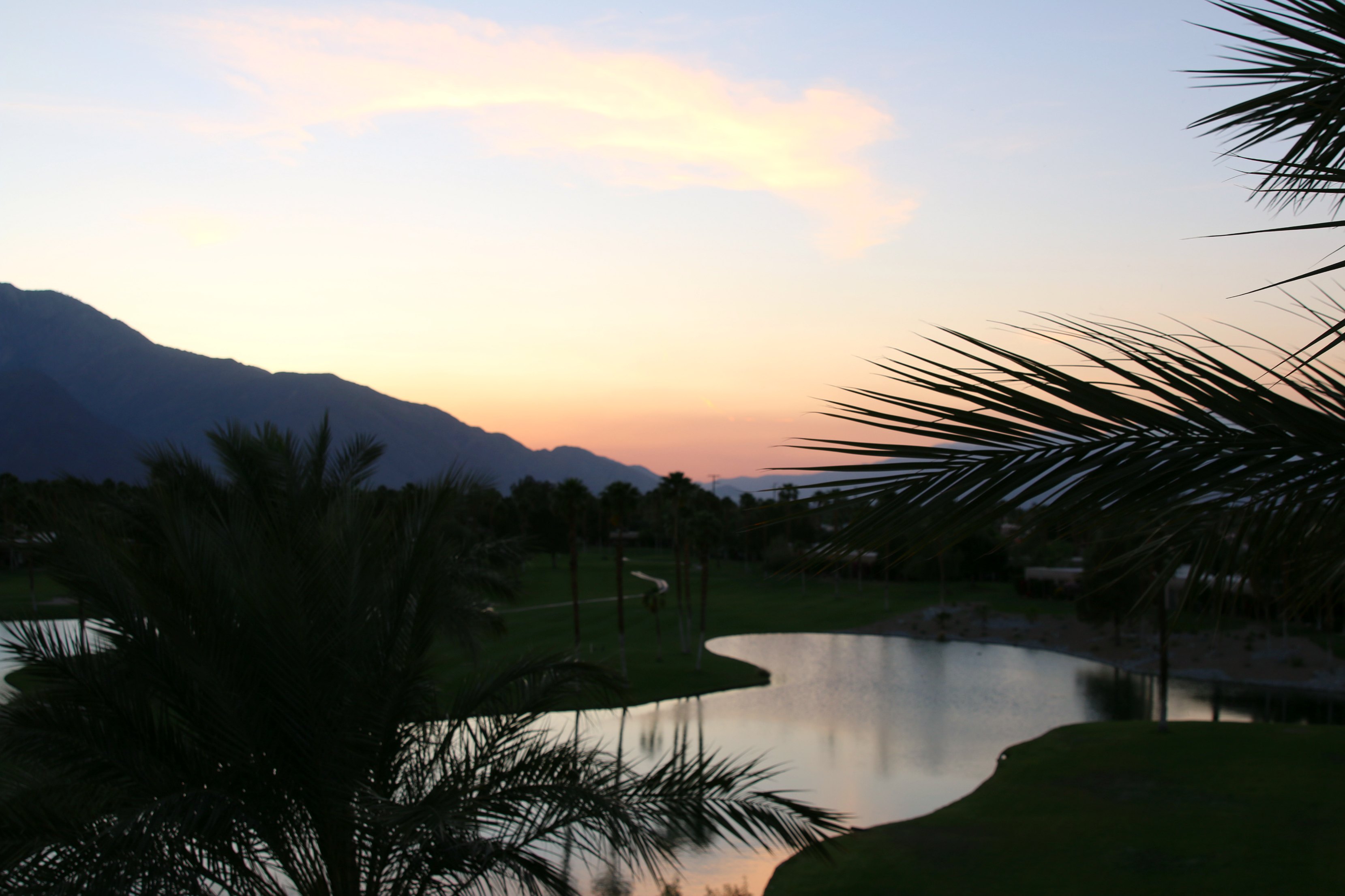 Palm Springs Sunset