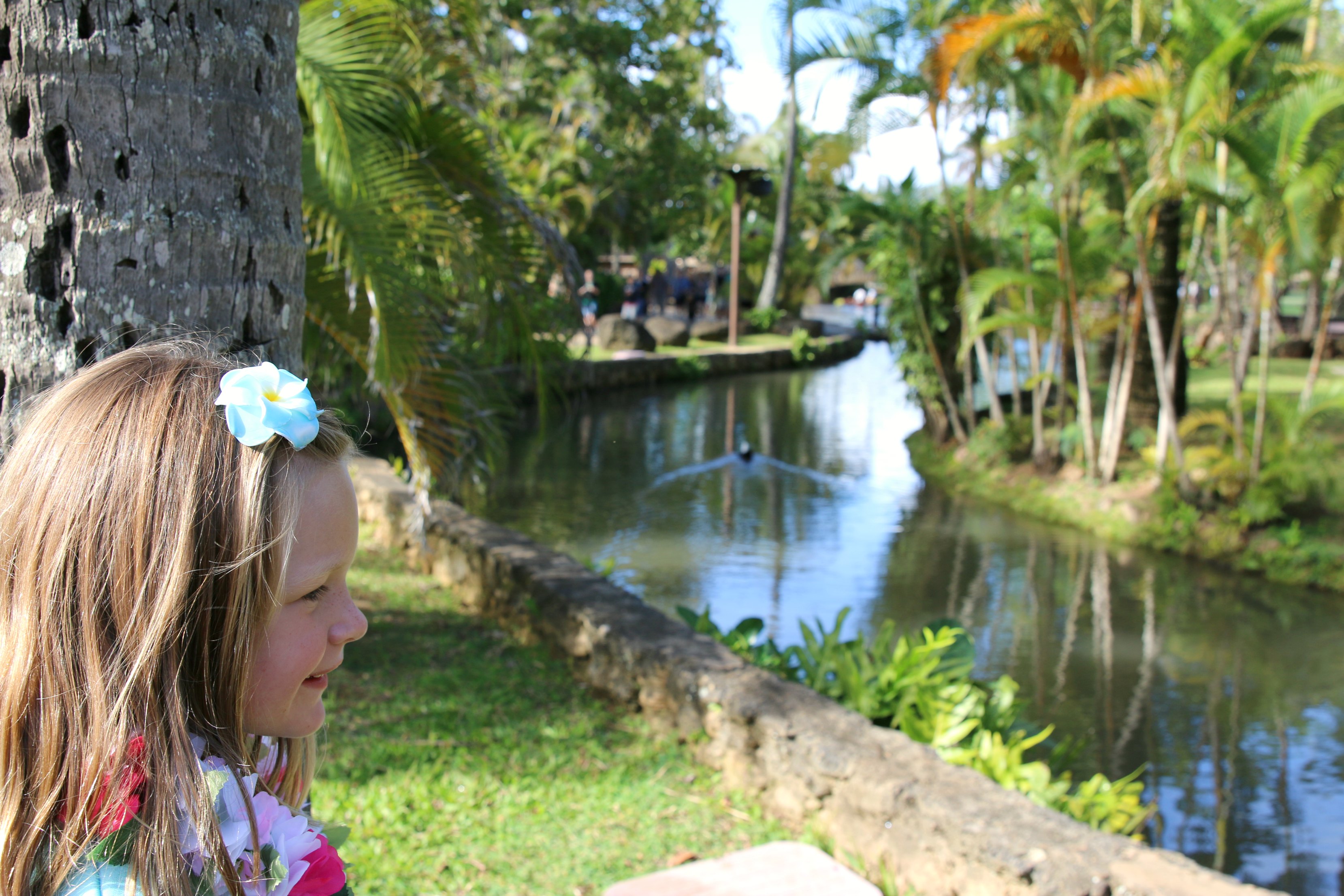 what to do at the Polynesian cultural center