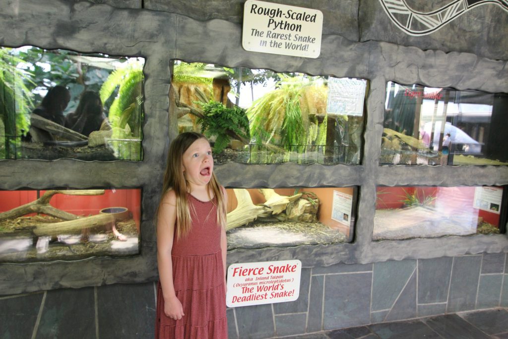 What To Do In Rapid City South Dakota With Kids Day 4 and 5 It's a